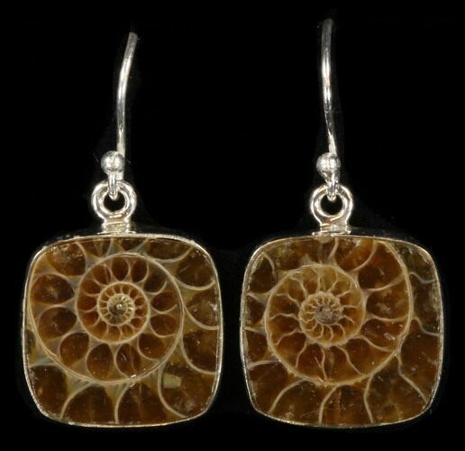 Fossil Ammonite Earrings - Sterling Silver #38125